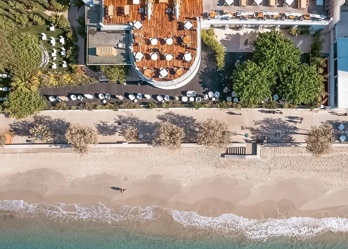 Hôtel accueillant les animaux: Grand Hotel Des Sablettes Plage, Curio Collection By Hilton